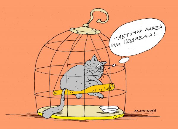 Карикатура: кот, михаил ларичев