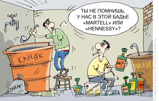 Карикатура: новые самогонщики, Кокарев Сергей