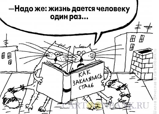 Карикатура: Впечатлительные коты, Шилов Вячеслав