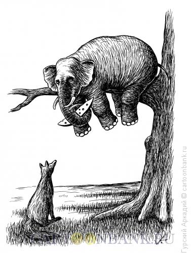 Карикатура: слон на дереве, Гурский Аркадий
