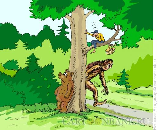 Карикатура: лесные чудеса, Ненашев Владимир