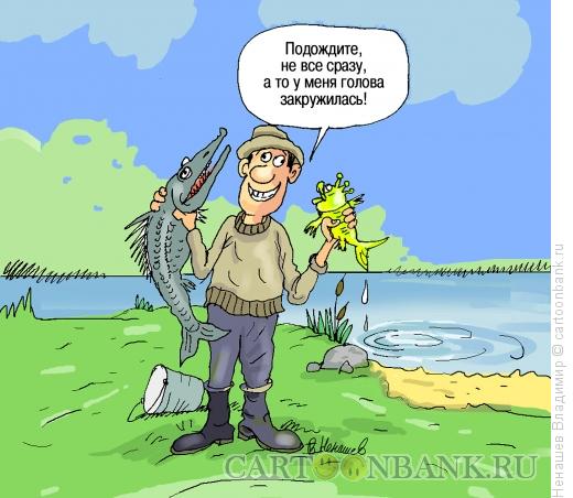 Карикатура: туча куча обещаний, Ненашев Владимир