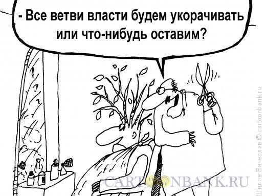 Карикатура: Ветви власти, Шилов Вячеслав