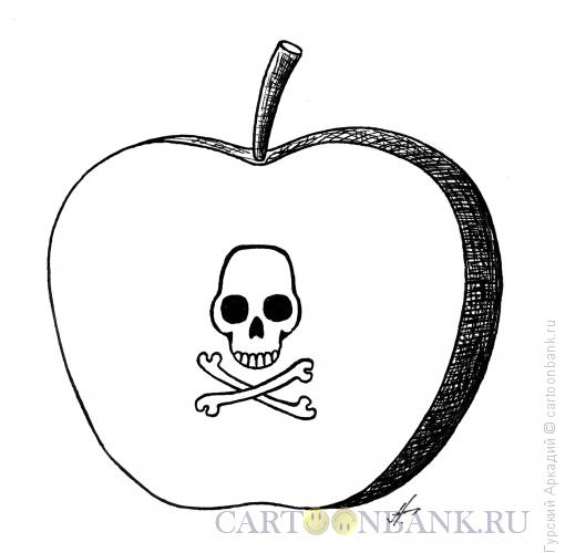 Карикатура: яблоко в разрезе, Гурский Аркадий
