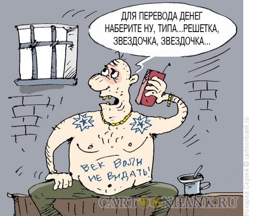 Карикатура: мобила в законе, Кокарев Сергей