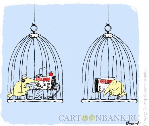 Карикатура: Радиостанция "Свобода", Богорад Виктор