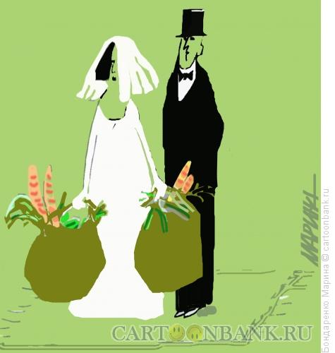 Карикатура: Хозяйственная свадьба, Бондаренко Марина
