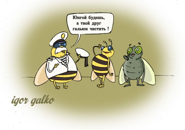 Карикатура: Распределение по чину, IgorHalko