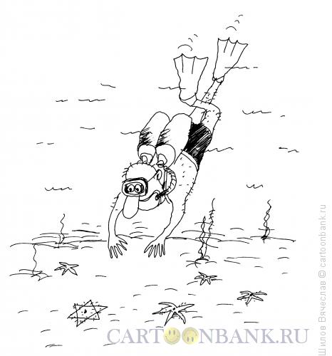 Карикатура: Морская звезда, Шилов Вячеслав