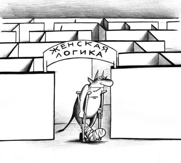 Карикатура: Женская логика, Сергей Корсун