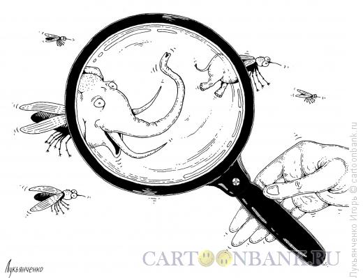 Карикатура: Слон из мухи, Лукьянченко Игорь