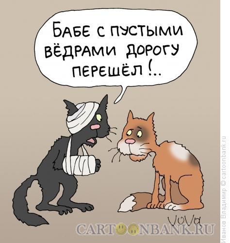 Карикатура: Черный кот, Иванов Владимир