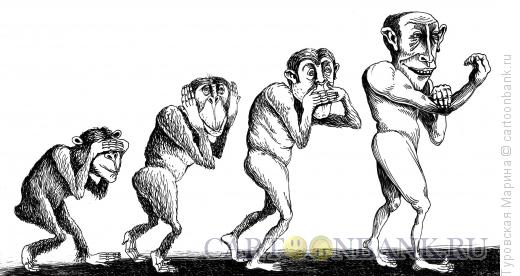 Карикатура: Эволюция жестов, Туровская Марина