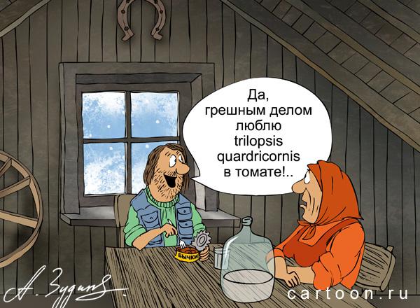 Карикатура: .профи, Зудин Александр