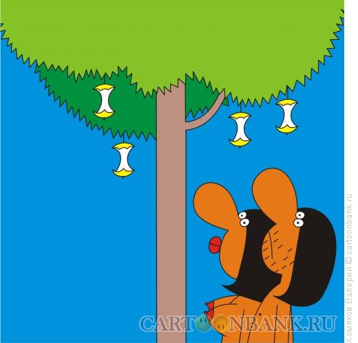 Карикатура: Дерево Познания, Хомяков Валерий