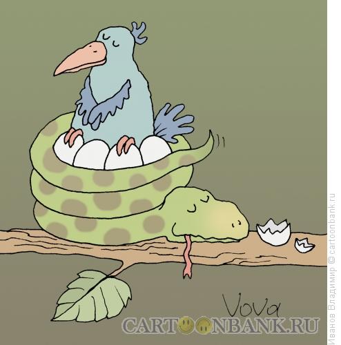 Карикатура: Гнездо, Иванов Владимир