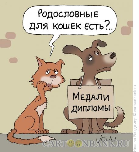 Карикатура: Медали и дипломы, Иванов Владимир