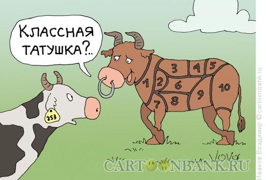 Карикатура: Тату для бычка, Иванов Владимир