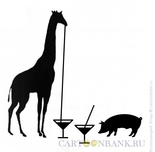 Карикатура: жираф, Копельницкий Игорь