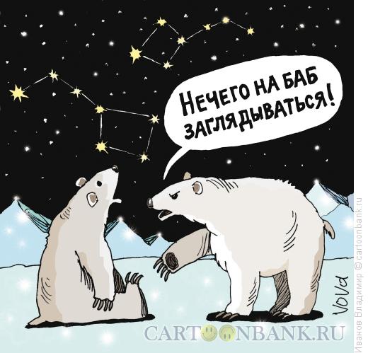 Карикатура: Медведицы, Иванов Владимир
