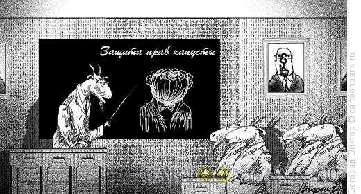 Карикатура: Права капусты, Богорад Виктор