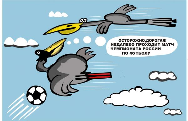 Карикатура: Прочие опасности перелетных птиц, somnambula