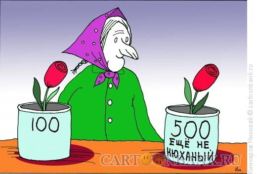Карикатура: Бабка цветочница, Кинчаров Николай