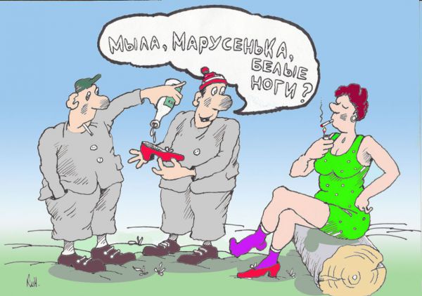 Карикатура: Мыла,Марусенька,белые ноги?, Николай Кинчаров