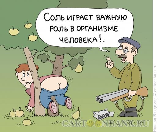 Карикатура: О пользе соли, Иванов Владимир