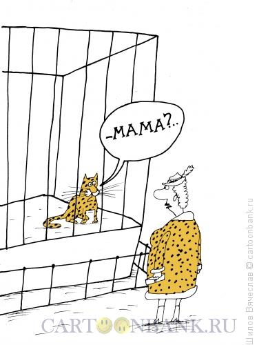 Карикатура: Мама?, Шилов Вячеслав