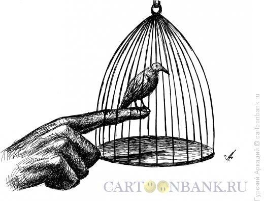 Карикатура: птица в клетке, Гурский Аркадий