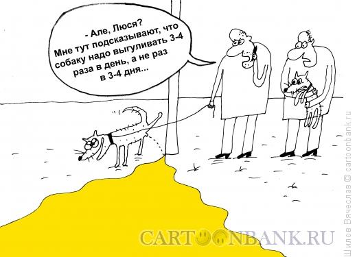 Карикатура: Выгул собаки, Шилов Вячеслав