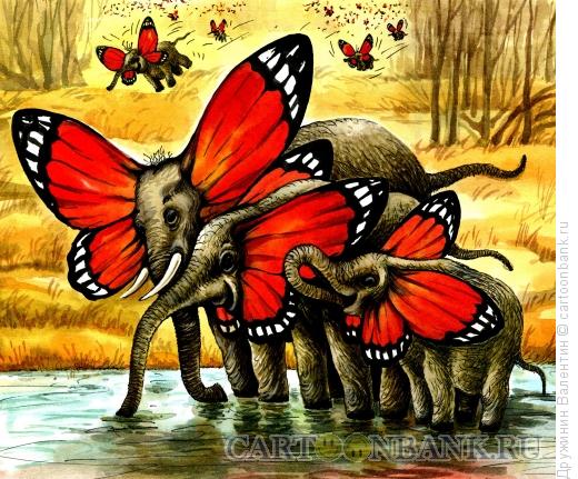 Карикатура: Слоны-бабочки, Дружинин Валентин