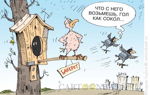 Карикатура: приставы, Кокарев Сергей