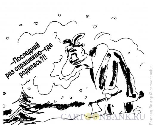 Карикатура: Допрос елки, Богорад Виктор