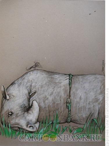Карикатура: Охота на носорога, Дергачёв Олег