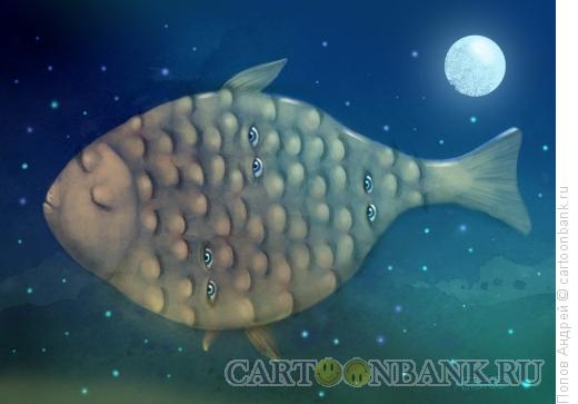 Карикатура: Рыба-ночь, Попов Андрей