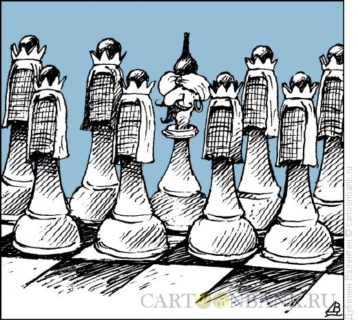 Карикатура: Шахматный гарем, Дубинин Валентин