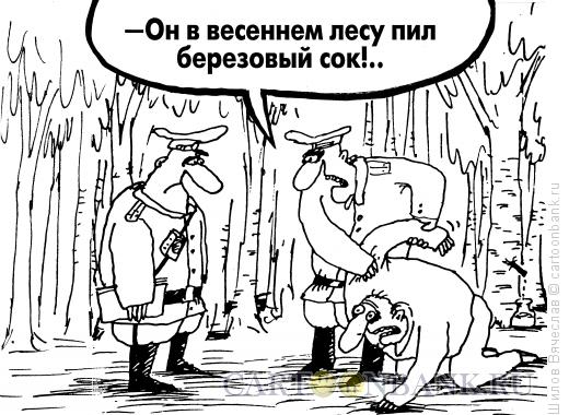 Карикатура: Березовый сок, Шилов Вячеслав