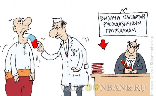 Карикатура: паспорт, Кокарев Сергей