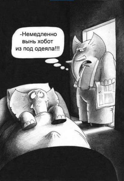 Карикатура: Хобот, Сергей Корсун