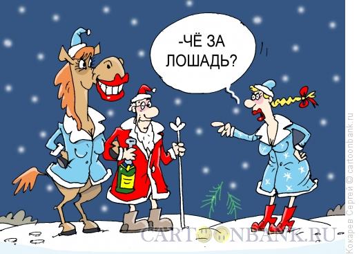 Карикатура: кобыла, Кокарев Сергей