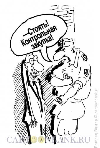 Карикатура: Проверка!, Богорад Виктор