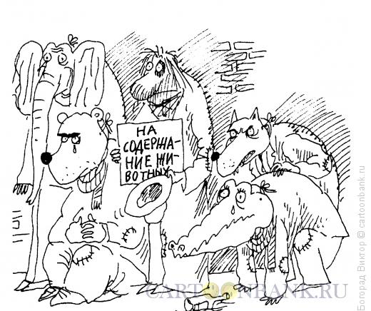 Карикатура: Содержание животных, Богорад Виктор