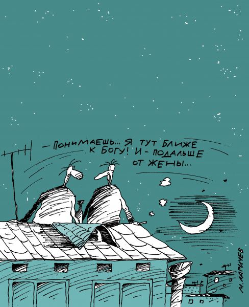 Карикатура: крыша, михаил ларичев