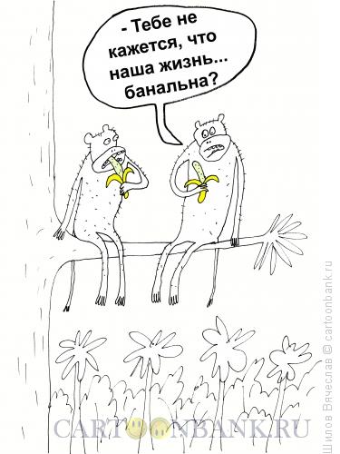 Карикатура: Бананы и банальность, Шилов Вячеслав