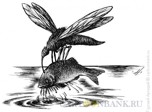 Карикатура: комар с рыбой, Гурский Аркадий