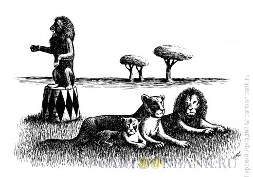 Карикатура: львы, Гурский Аркадий