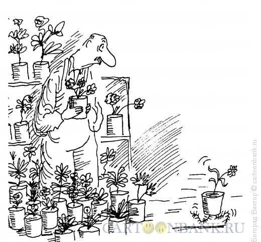 Карикатура: Испуганный цветок, Богорад Виктор