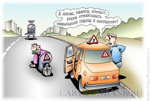 Карикатура: Правильный подход, Кийко Игорь